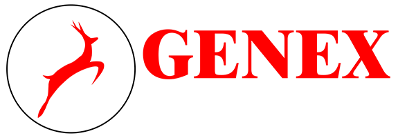 Solutions 31 genex logo